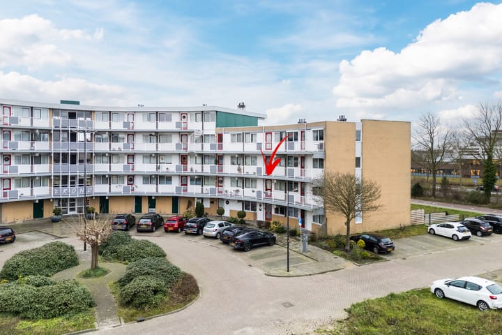 Foto 2 van Koraal 62