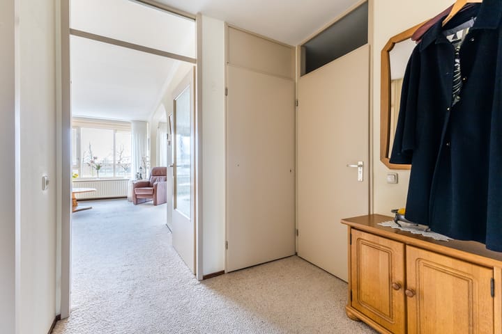 Foto 6 van Koraal 62