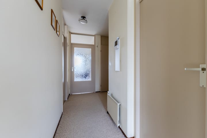 Foto 17 van Koraal 62