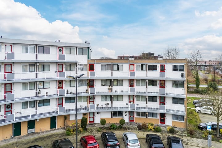 Foto 37 van Koraal 62