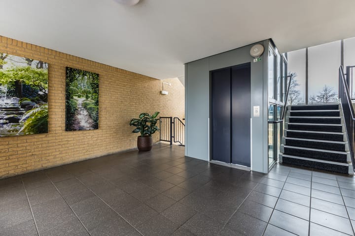 Foto 31 van Koraal 62