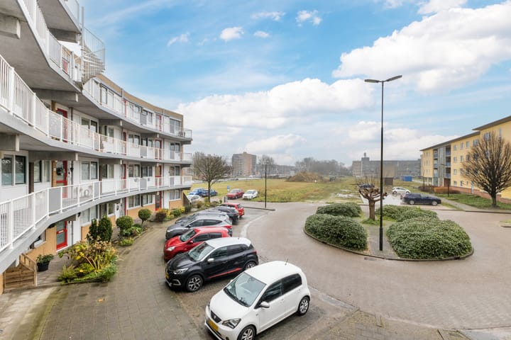 Foto 35 van Koraal 62