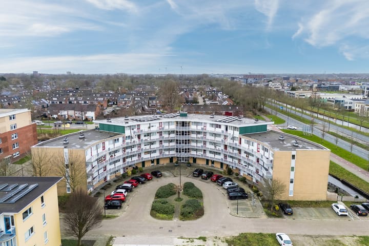 Foto 39 van Koraal 62