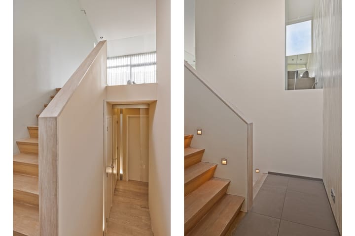 Foto 12 van Grasduiker 19