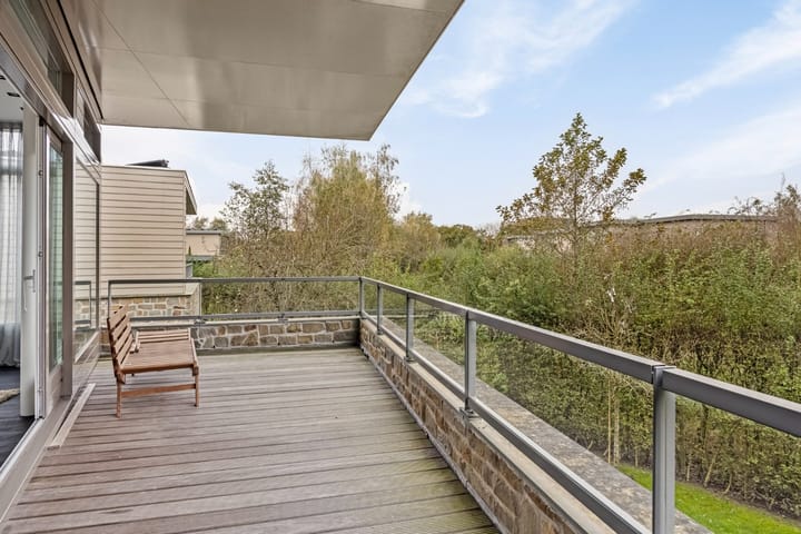 Foto 18 van Grasduiker 19