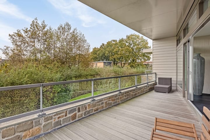 Foto 19 van Grasduiker 19