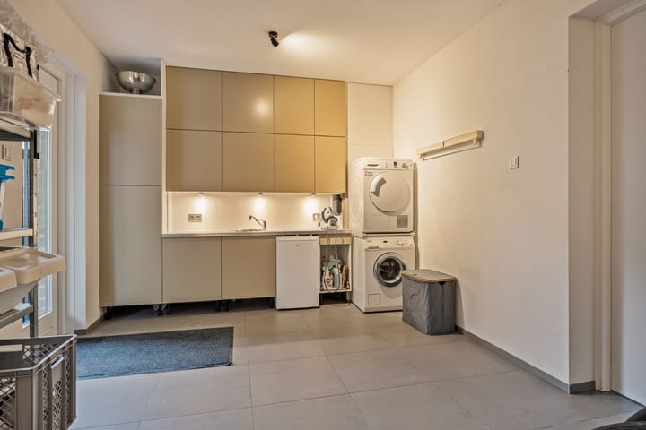 Foto 31 van Grasduiker 19