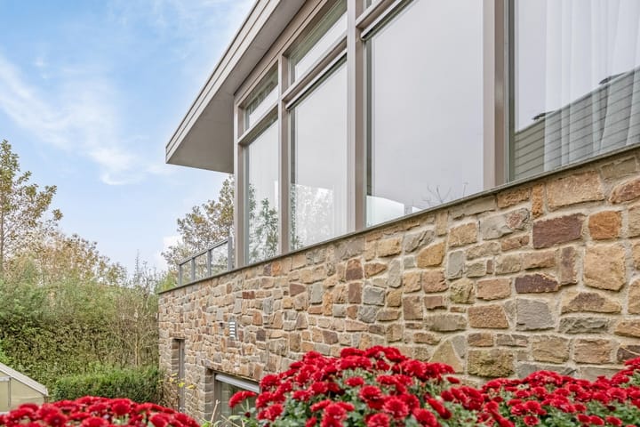 Foto 32 van Grasduiker 19