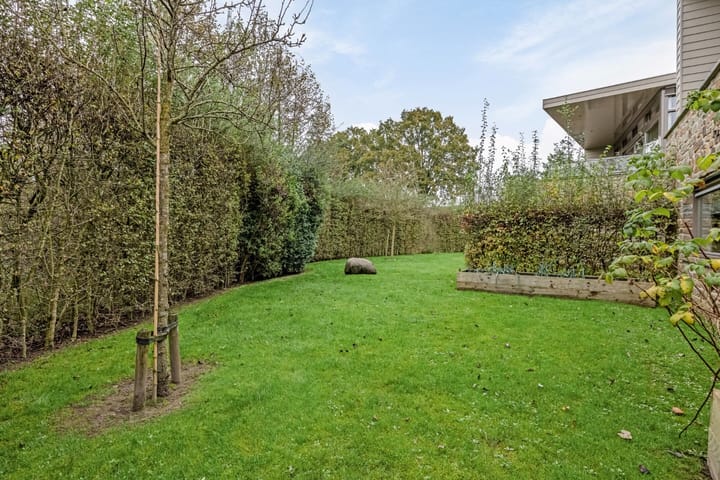 Foto 38 van Grasduiker 19