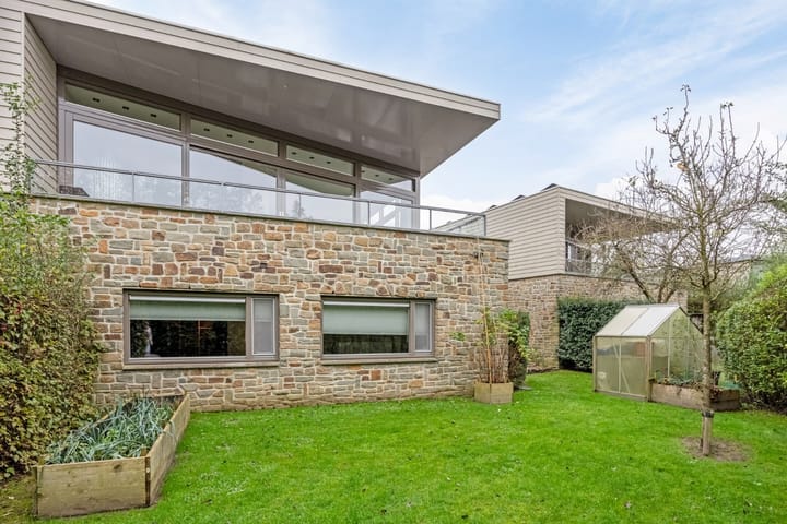 Foto 39 van Grasduiker 19