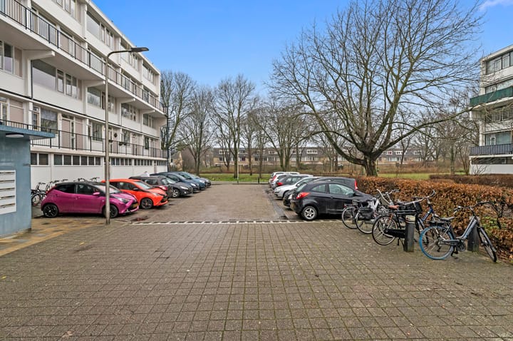 Foto 8 van Vliestroom 291