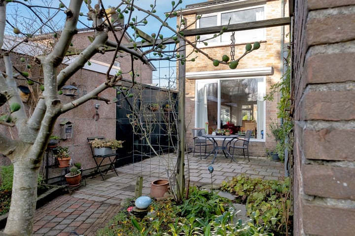 Foto 38 van Hunze 16