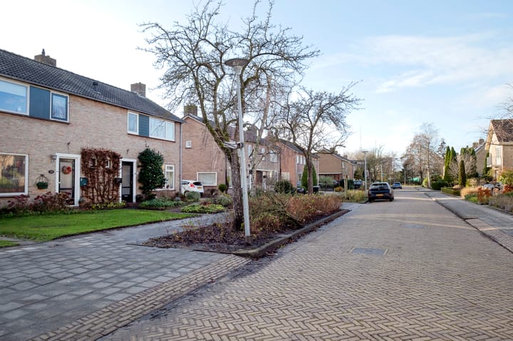 Foto 45 van Hunze 16