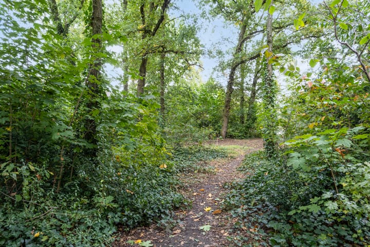 Foto 40 van Swalmstraat 9