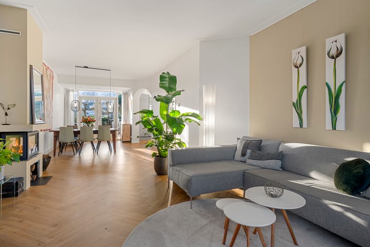 Foto 4 van Josef Israëlslaan 23