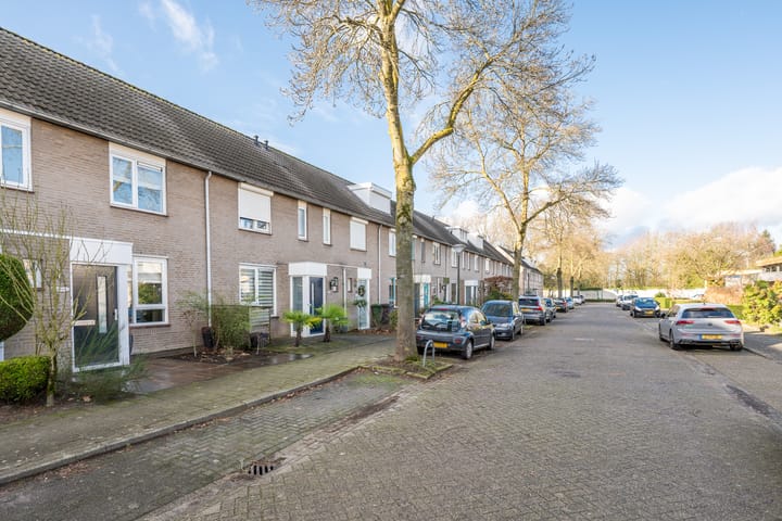 Foto 8 van Elendil 75