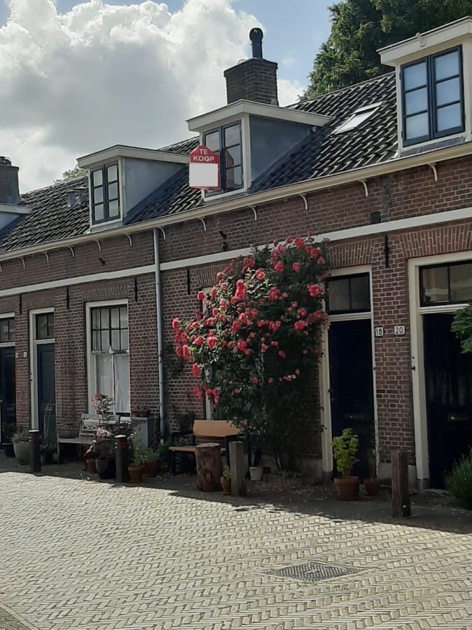 Foto 5 van Moesstraat 18