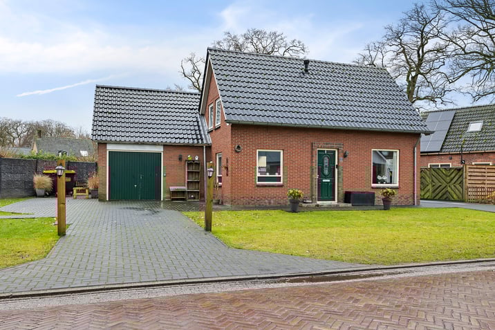 undefined main image