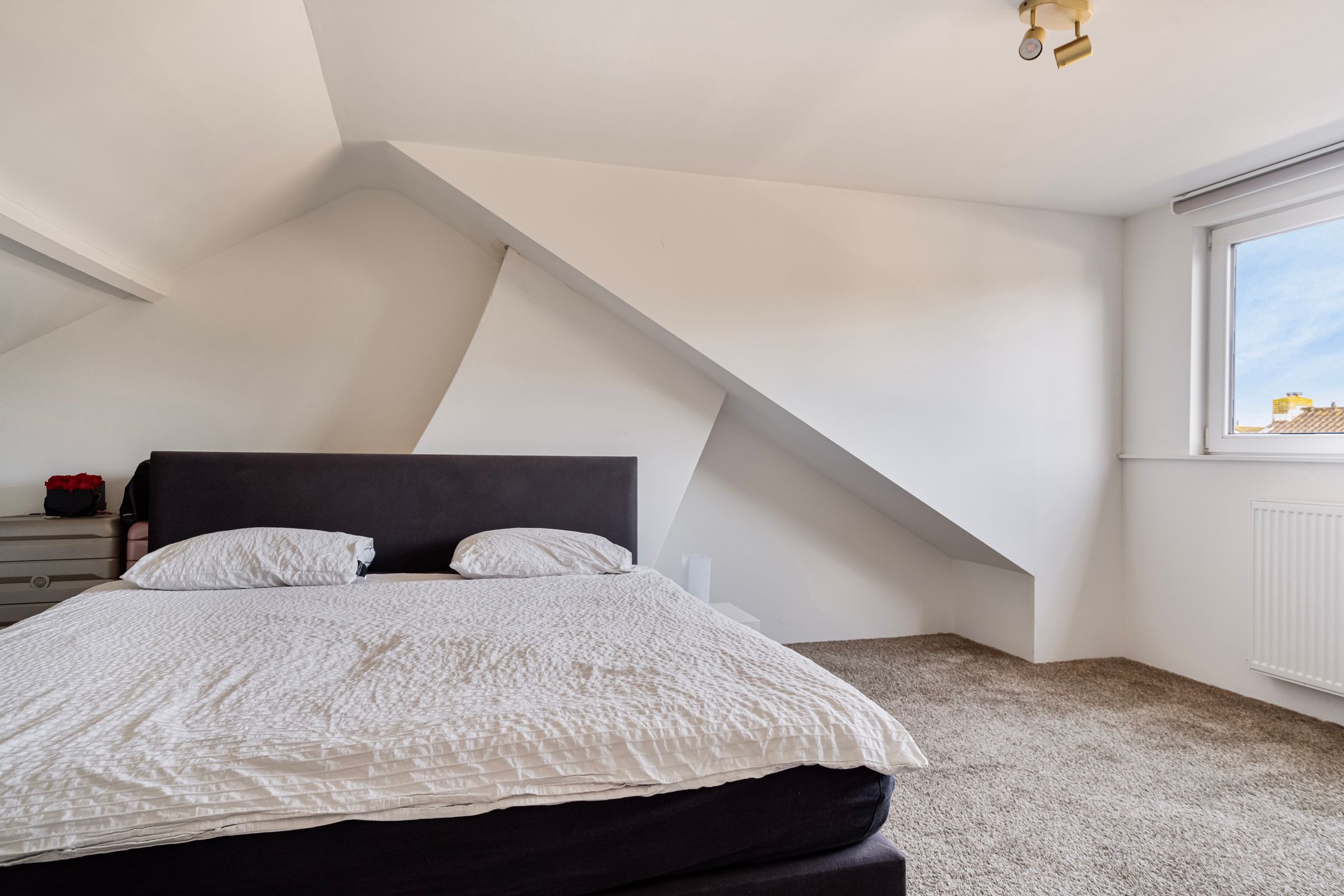 Foto 24 van Prof. Krabbestraat 5