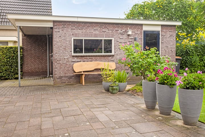 Foto 37 van Groenling 4