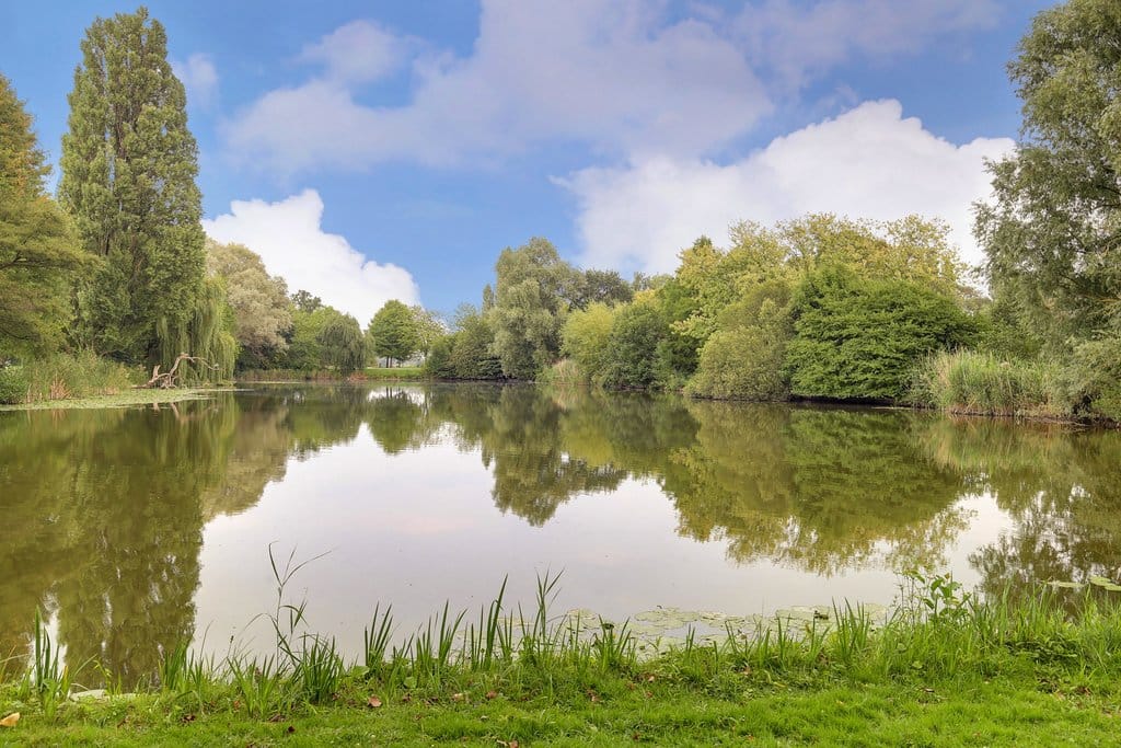 Foto 28 van Sibogastraat 74