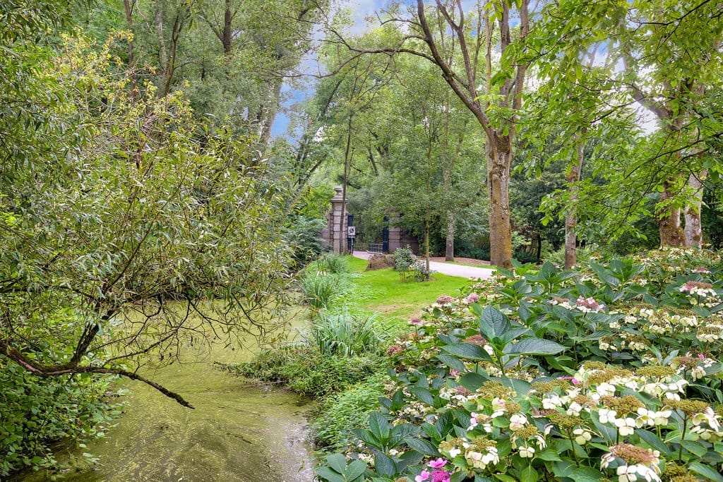 Foto 29 van Sibogastraat 74