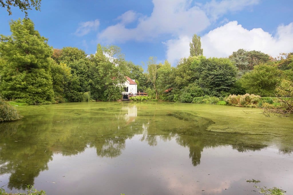 Foto 30 van Sibogastraat 74