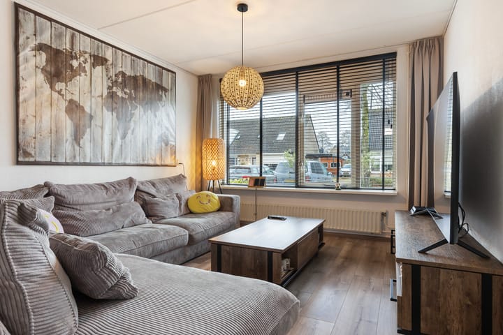 Foto 3 van Anna Bijnsring 146