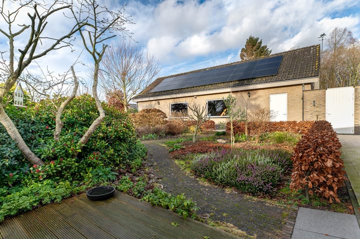 Photo 43 of Bolbaan 4