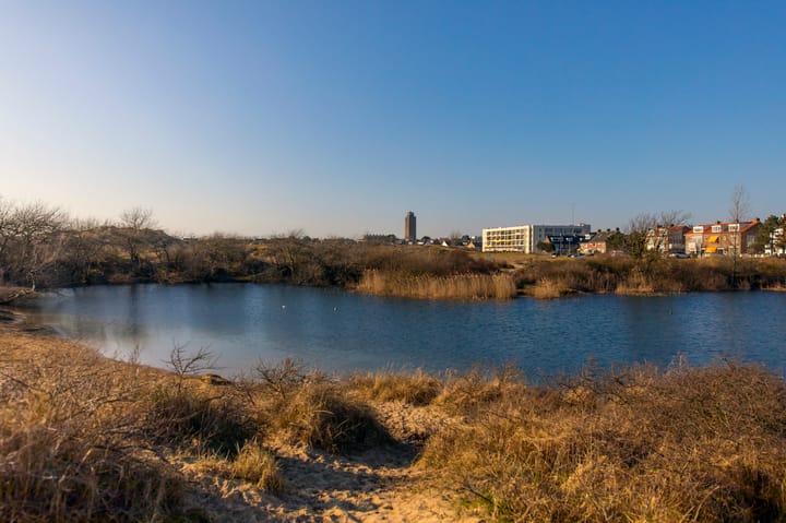 Foto 29 van Brederodestraat 6-D