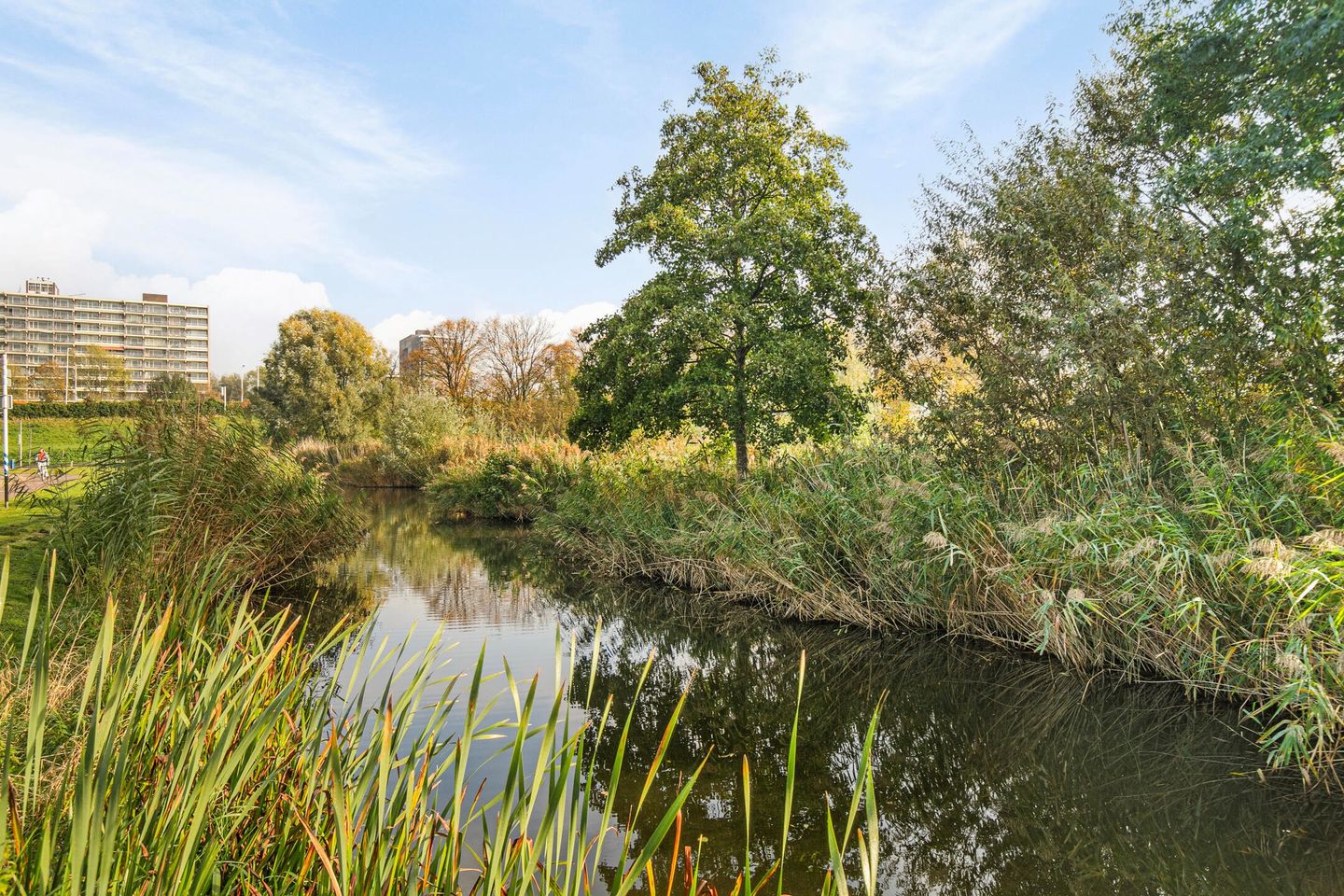 Foto 20 van Lehárstraat 166