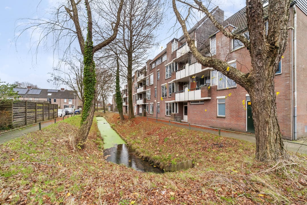 Foto 16 van Jacob Obrechtstraat 63