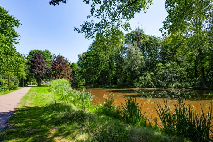 Foto 32 van Gebroeklaan 41