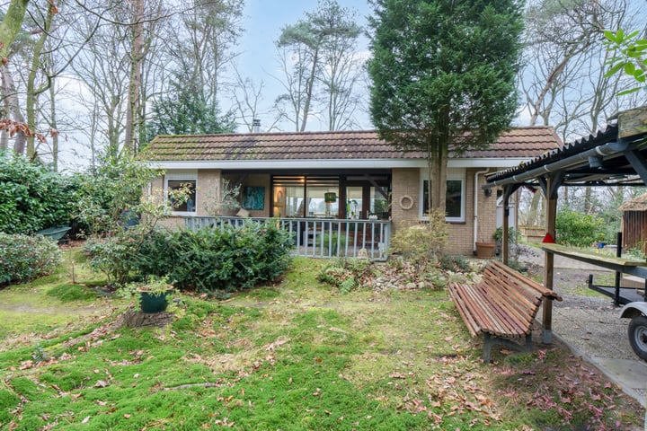 Bekijk foto van Kievit 12 b36