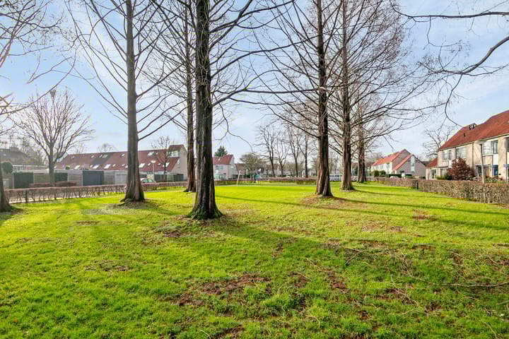 Foto 39 van Pauwoog 4