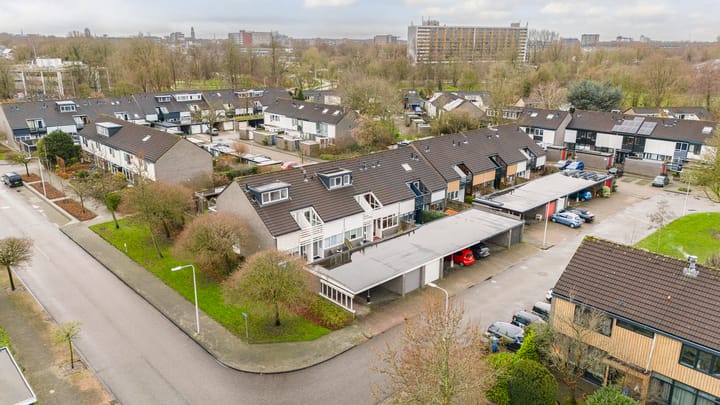 Foto 1 van Zwemmer 3