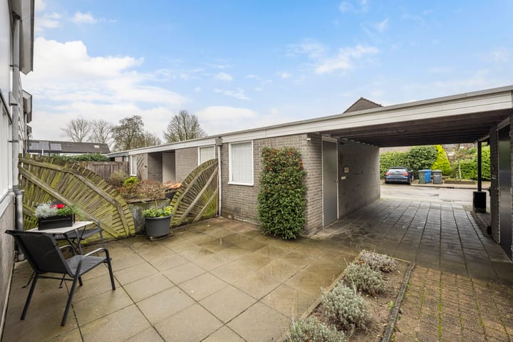 Foto 5 van Zwemmer 3