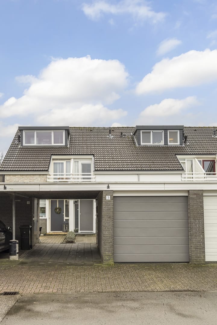 Foto 33 van Zwemmer 3