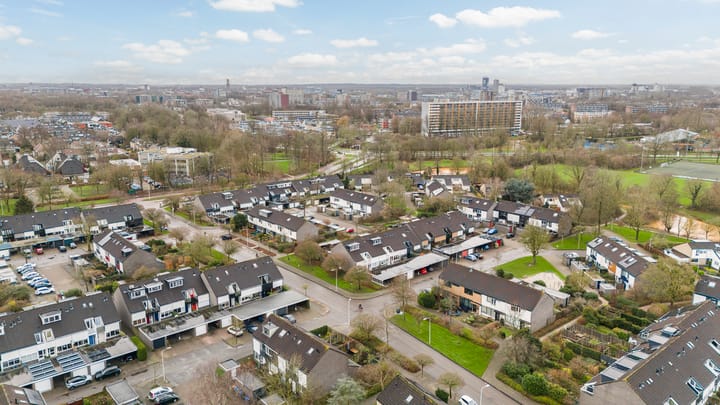 Foto 36 van Zwemmer 3