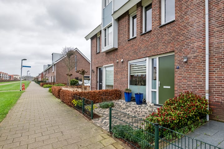 Foto 3 van Pimpernelblauwtje 3