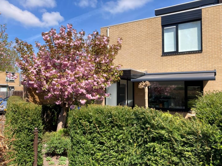 Foto 41 van Rozentuin 308