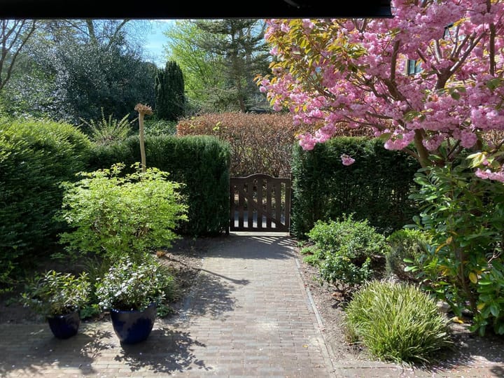 Foto 42 van Rozentuin 308