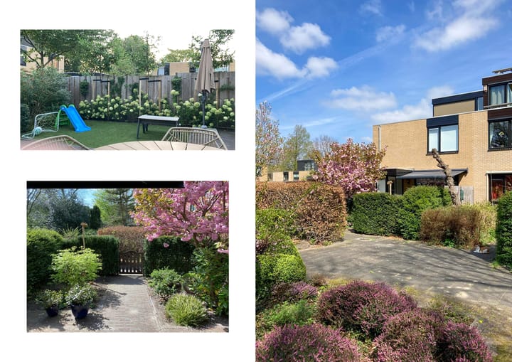 Foto 43 van Rozentuin 308