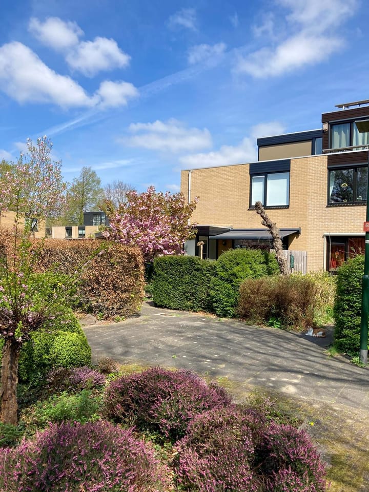 Foto 46 van Rozentuin 308