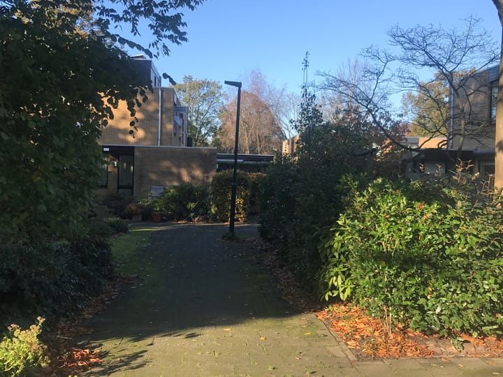 Foto 49 van Rozentuin 308