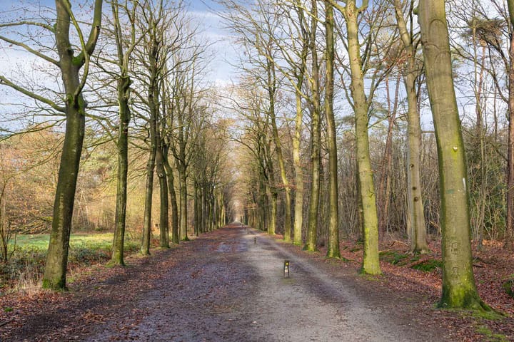 Foto 62 van Baandervrouwenlaan 98