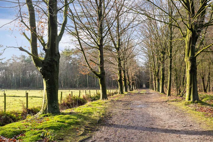 Foto 63 van Baandervrouwenlaan 98