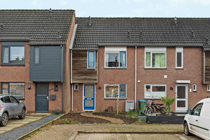 undefined main image