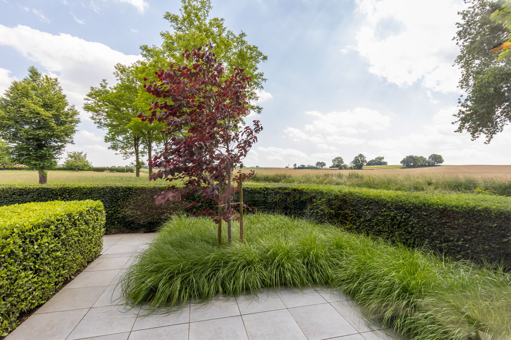 Photo 21 of Johan van Dalendreef 2