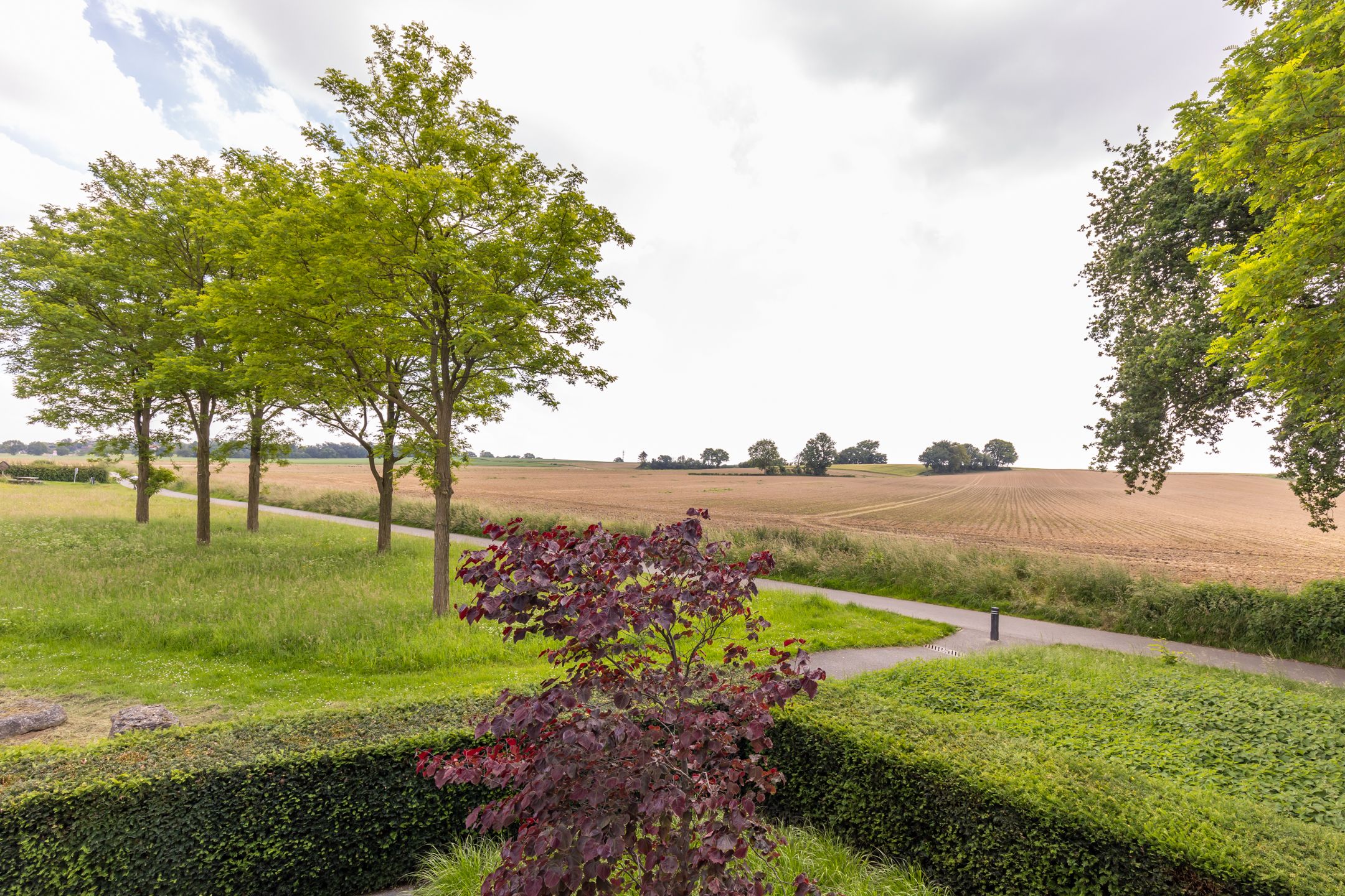 Photo 42 of Johan van Dalendreef 2